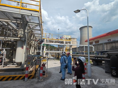 扎根重庆的川维化工 将“争气”进行到底 助力低碳重庆新活力